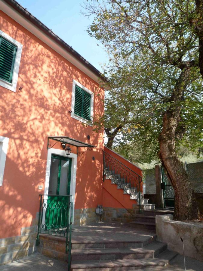 Ai 2 Olmi - Monolocali Nel Verde Múggia Eksteriør billede